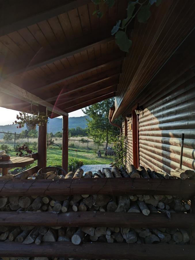 Cabana Nyiko Cu Ciubar Lupeni  Exterior photo