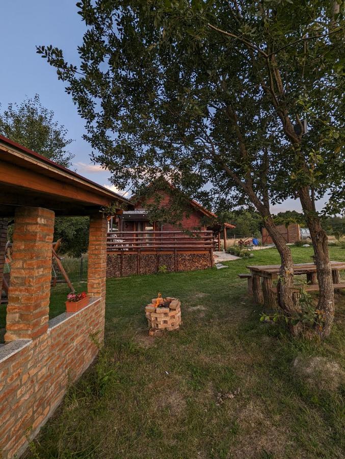 Cabana Nyiko Cu Ciubar Lupeni  Exterior photo