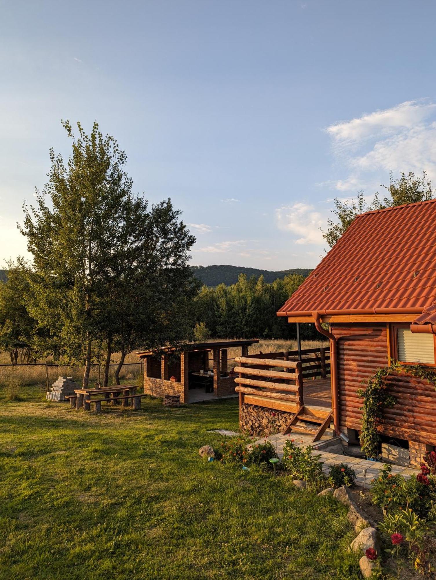Cabana Nyiko Cu Ciubar Lupeni  Exterior photo